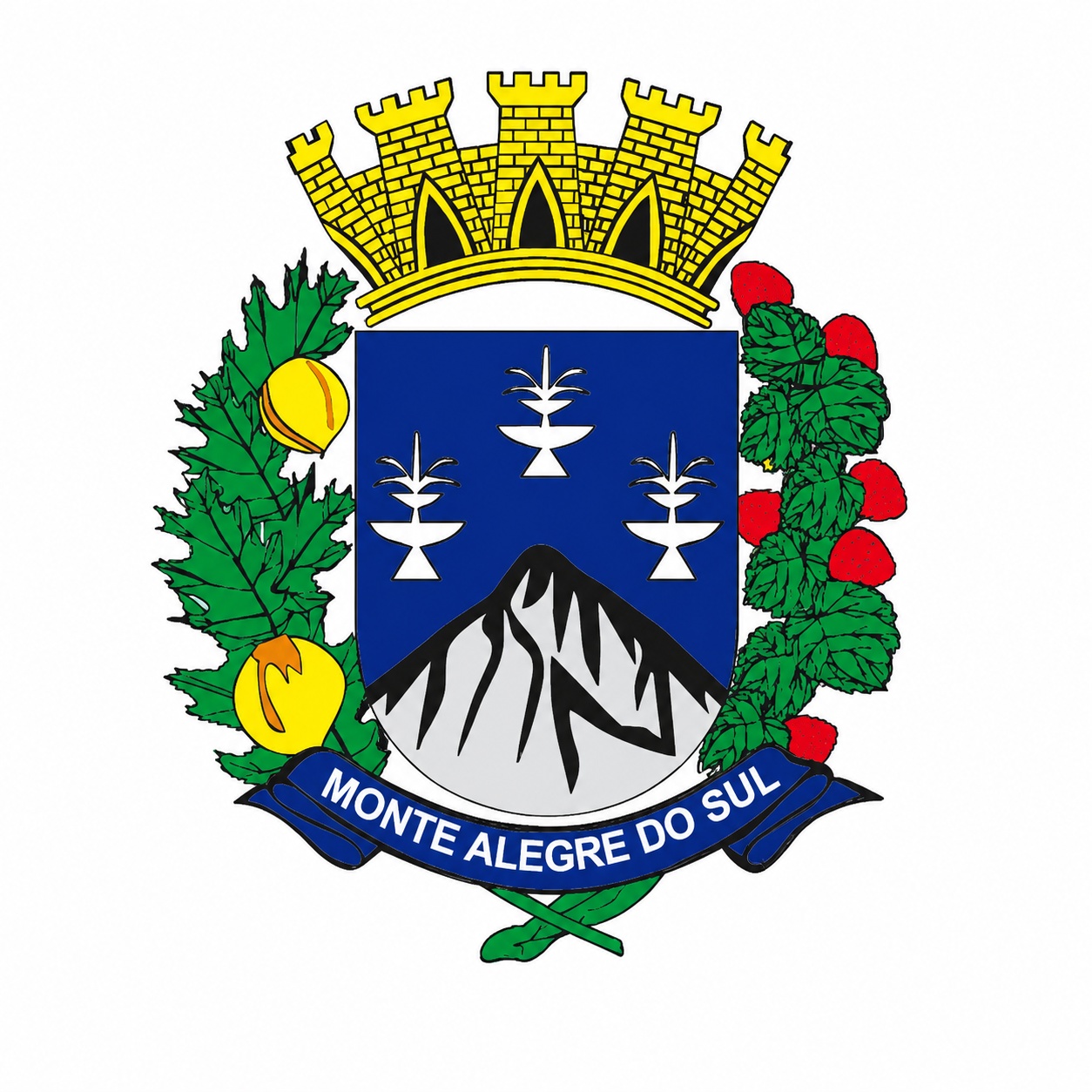 Prefeitura Municipal de Monte Alegre do Sul